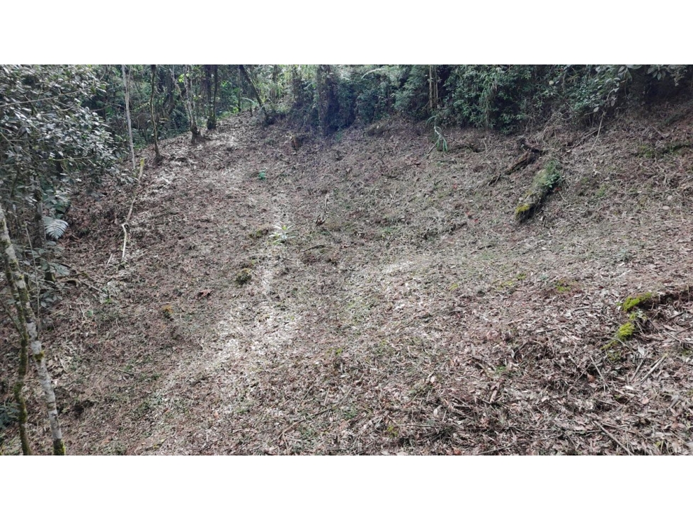 Venta de Hermoso Lote Rodeado de Bosques Natural en Unidad Cerrada — foto 5