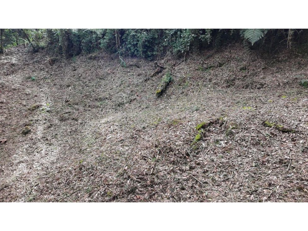 Venta de Hermoso Lote Rodeado de Bosques Natural en Unidad Cerrada — foto 6