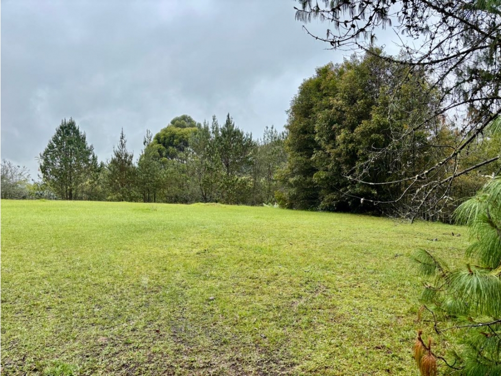 Venta de hermoso lote ubicado en llanogrande con hermoso bosque