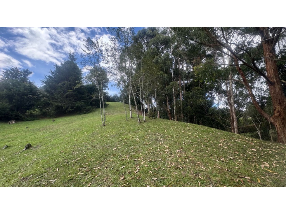 Venta de hermoso lote via San Antonio la ceja unidad cerrada LDC