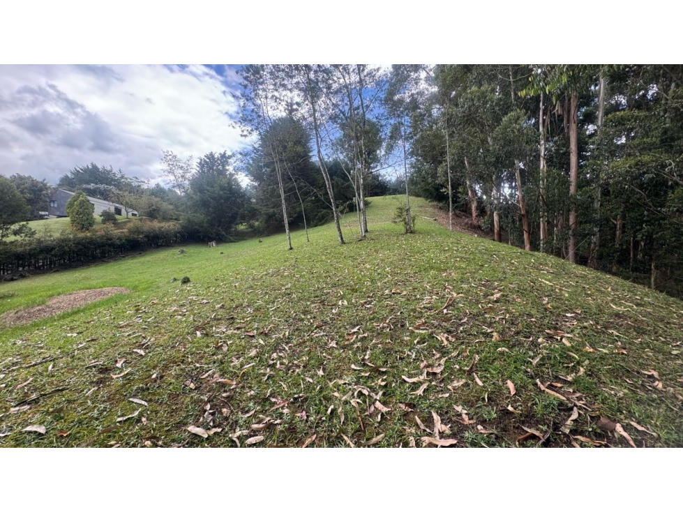 Venta de hermoso lote via San Antonio la ceja unidad cerrada LDC — foto 3