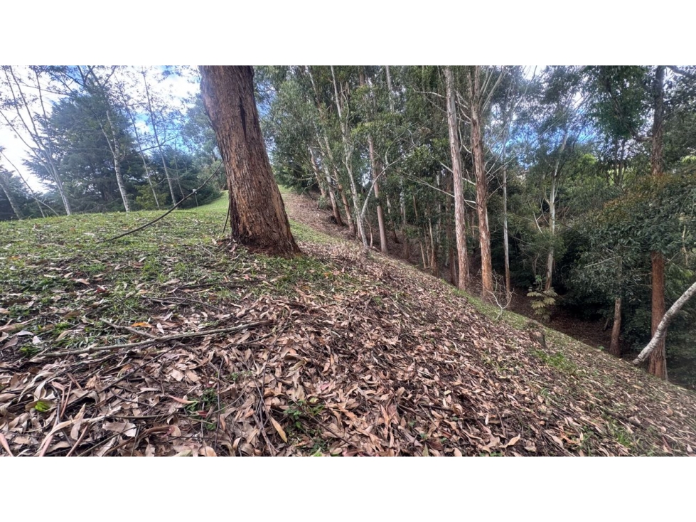 Venta de hermoso lote via San Antonio la ceja unidad cerrada LDC — foto 4
