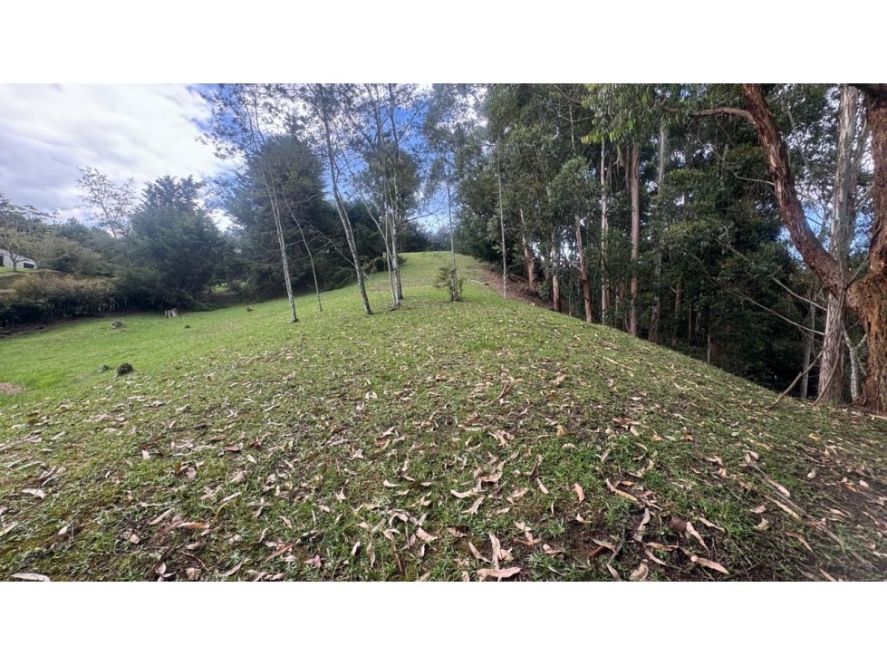 Venta de hermoso lote via San Antonio la ceja unidad cerrada LDC — foto 6