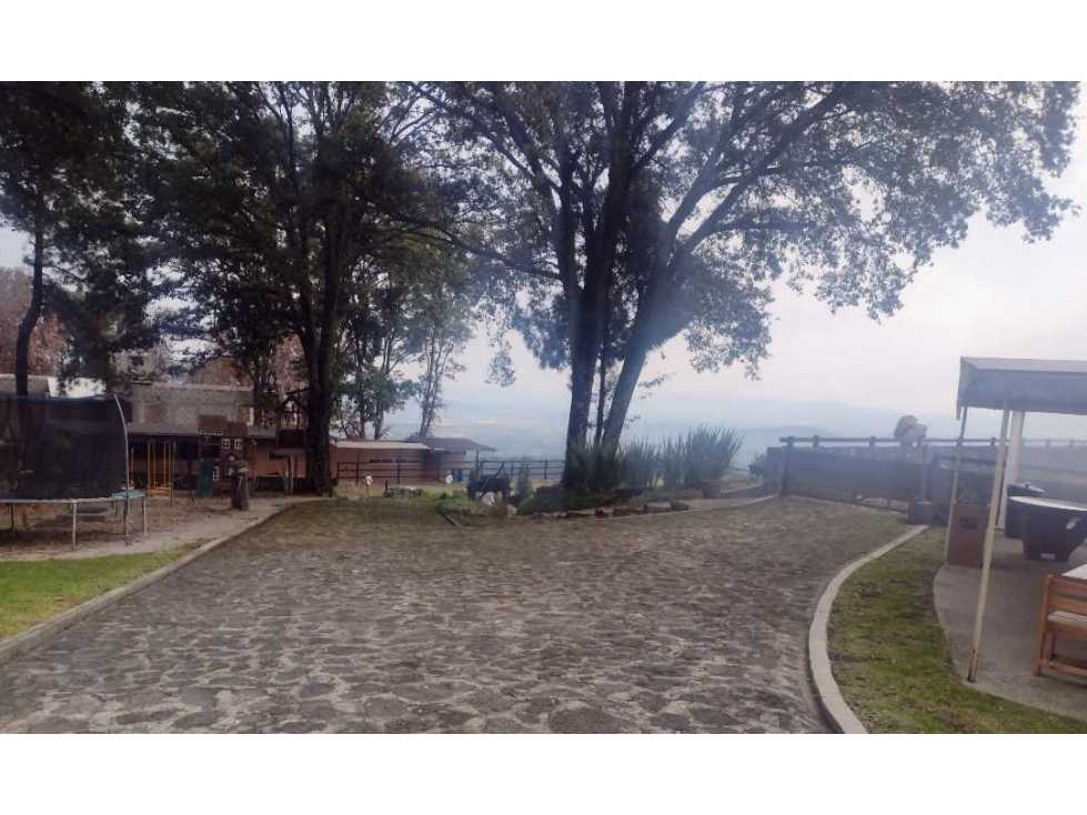 VENTA DE HIPICO EN CUERNAVACA - 4