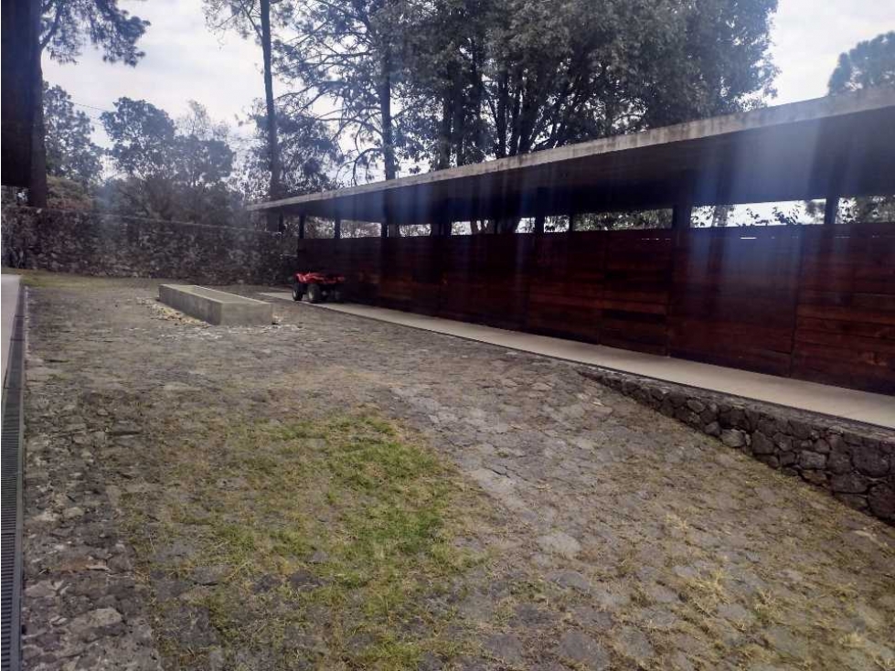 VENTA DE HIPICO EN CUERNAVACA - 5