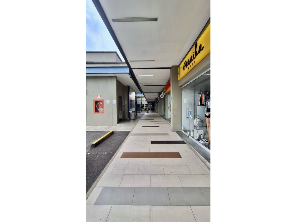 Venta de local palma grande rentando al 1%