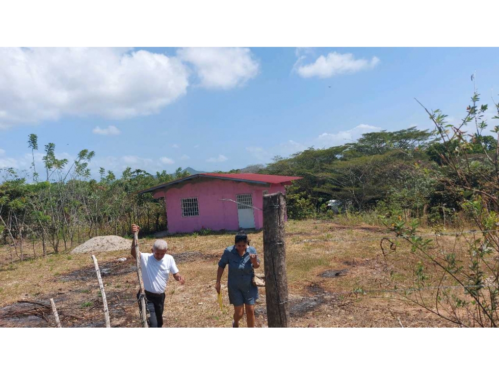 VENTA DE LOTE 1005.88 m2 CON CASA PEQUEÑA EN PENONOMÉ COCLÉ - 1