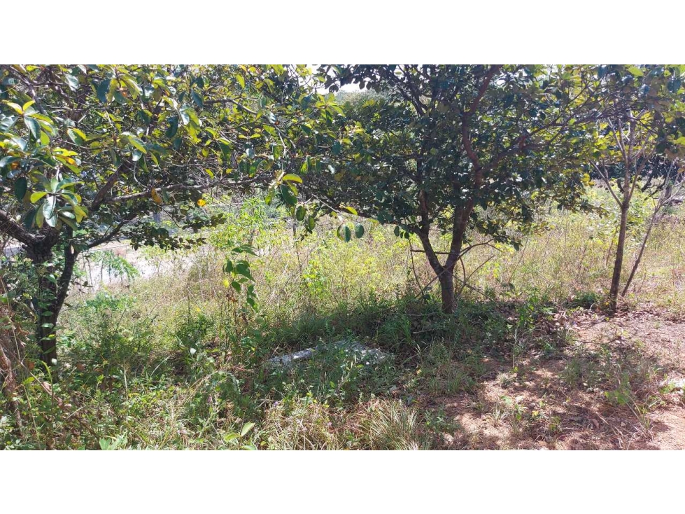 VENTA DE LOTE 1005.88 m2 CON CASA PEQUEÑA EN PENONOMÉ COCLÉ - 6