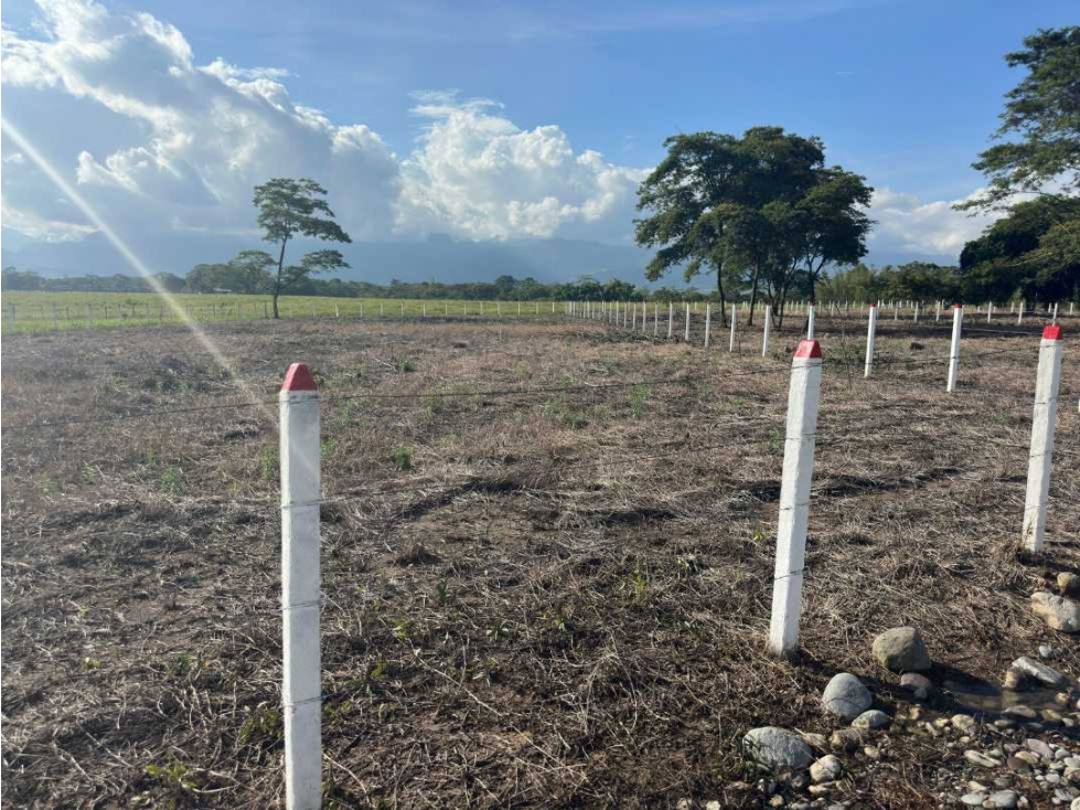Venta de Lote Acacias Meta - 1
