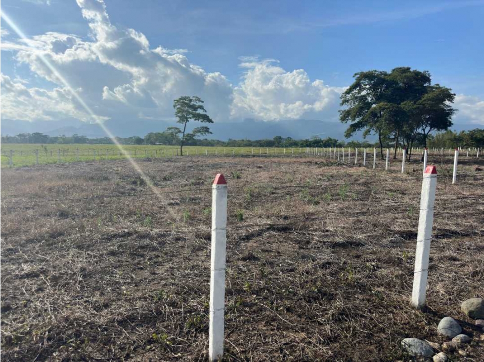 Venta de Lote Acacias Meta - 4