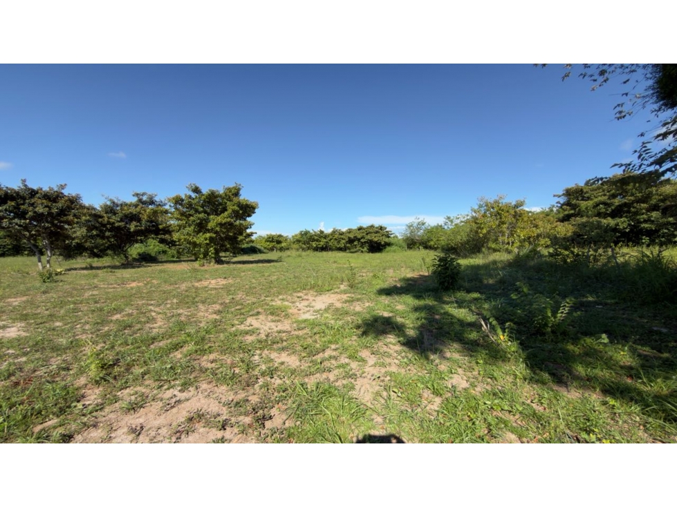 VENTA DE LOTE AGUA BLANCA PENONOME PLANO 3300M2 5 MIN DE LA PANAMRCANA - 1