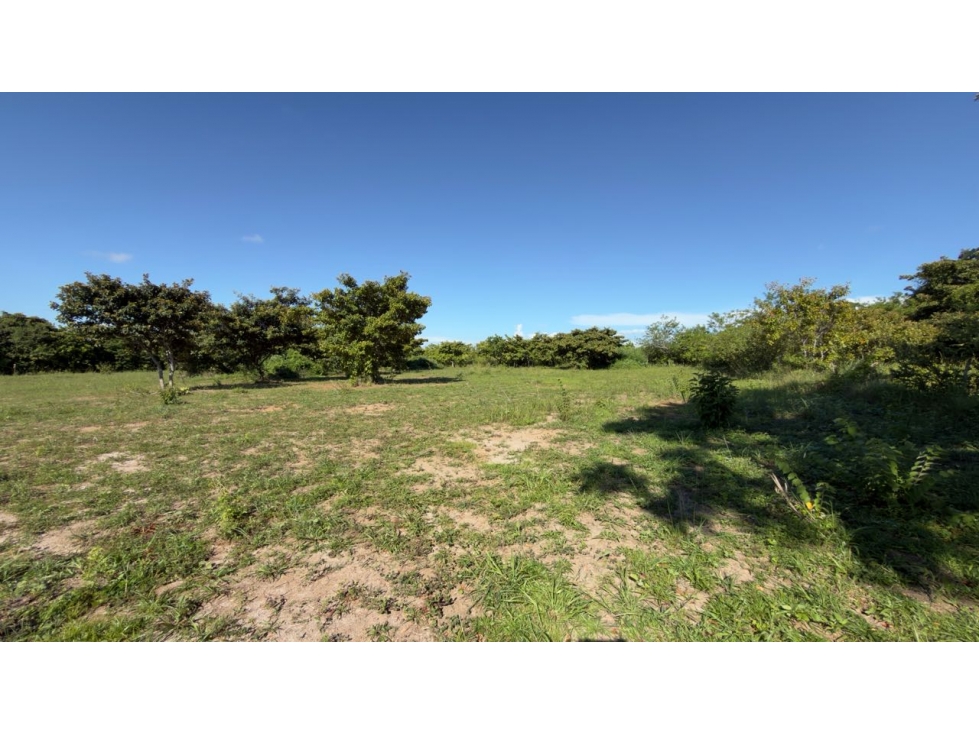 VENTA DE LOTE AGUA BLANCA PENONOME PLANO 3300M2 5 MIN DE LA PANAMRCANA - 2