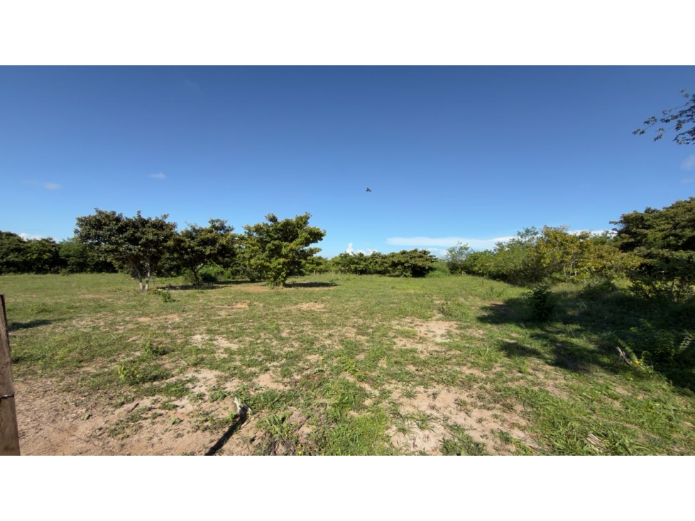 VENTA DE LOTE AGUA BLANCA PENONOME PLANO 3300M2 5 MIN DE LA PANAMRCANA - 3
