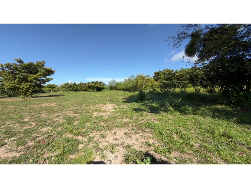 VENTA DE LOTE AGUA BLANCA PENONOME PLANO 3300M2 5 MIN DE LA PANAMRCANA - 4