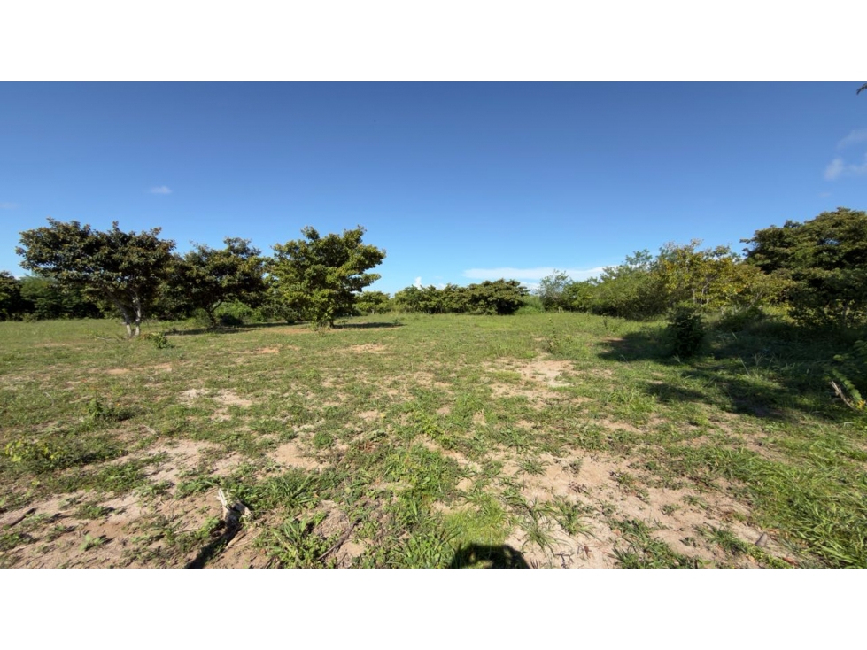 VENTA DE LOTE AGUA BLANCA PENONOME PLANO 3300M2 5 MIN DE LA PANAMRCANA - 5