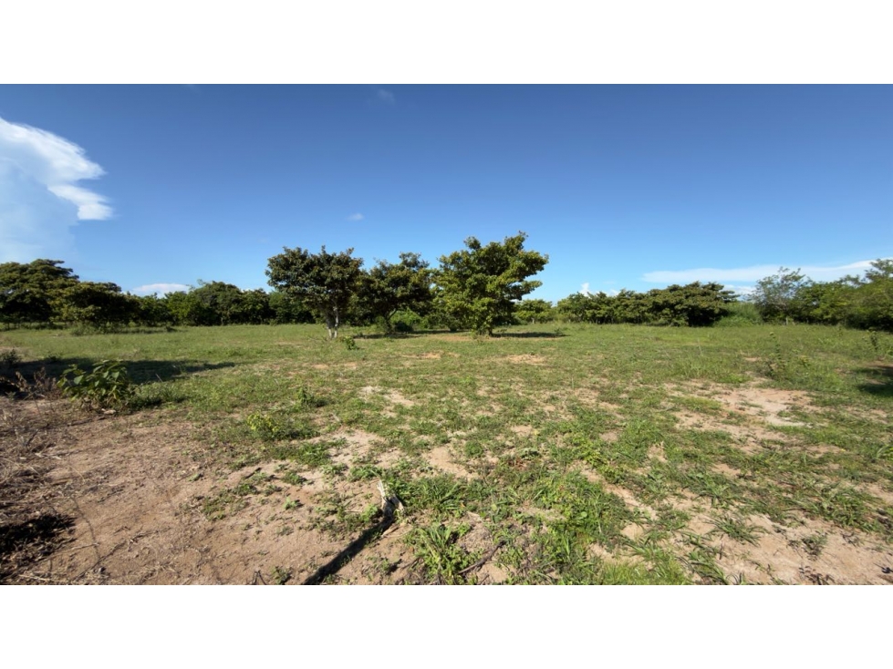 VENTA DE LOTE AGUA BLANCA PENONOME PLANO 3300M2 5 MIN DE LA PANAMRCANA - 6