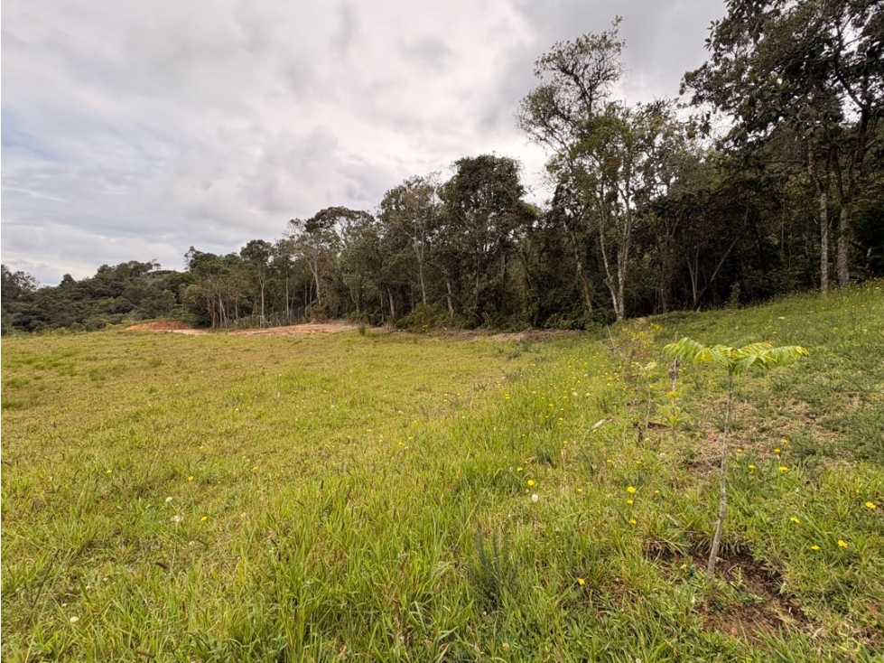 Venta de lote. Alta Valorozación. Alto del Escobero. — foto 6