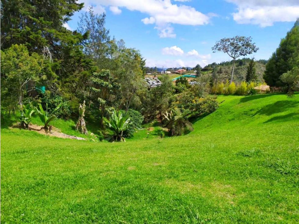 Venta de lote Alto de las Palmas