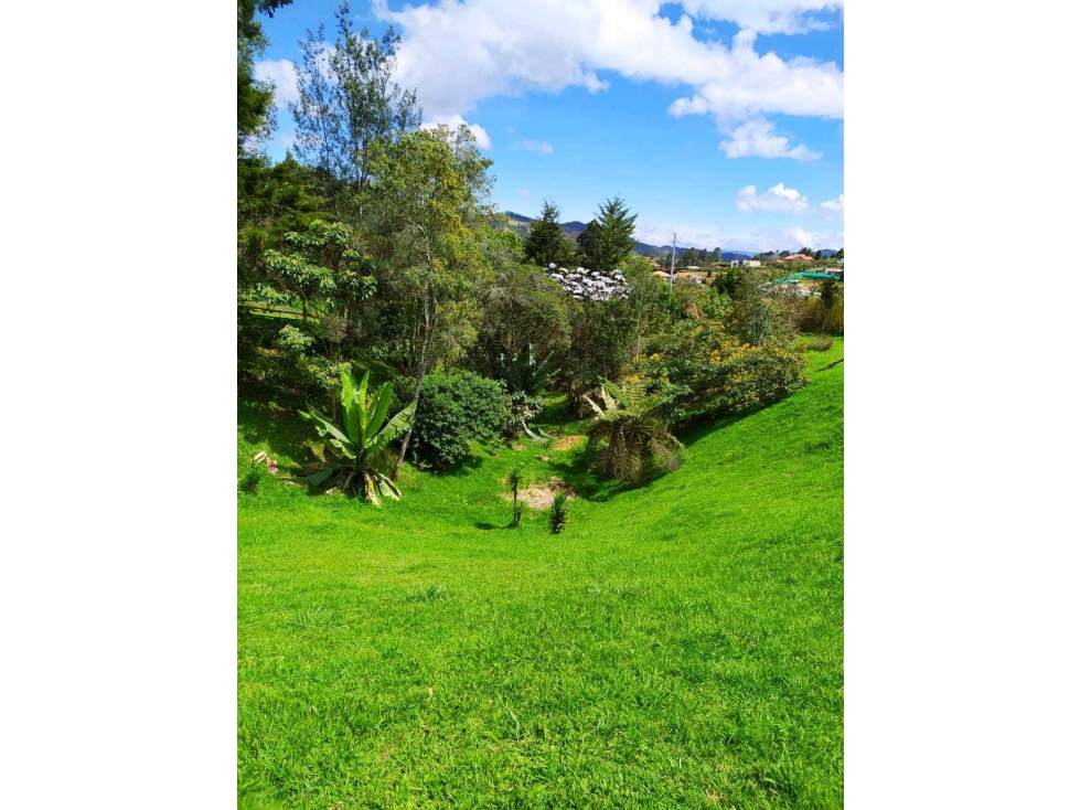 Venta de lote Alto de las Palmas — foto 2