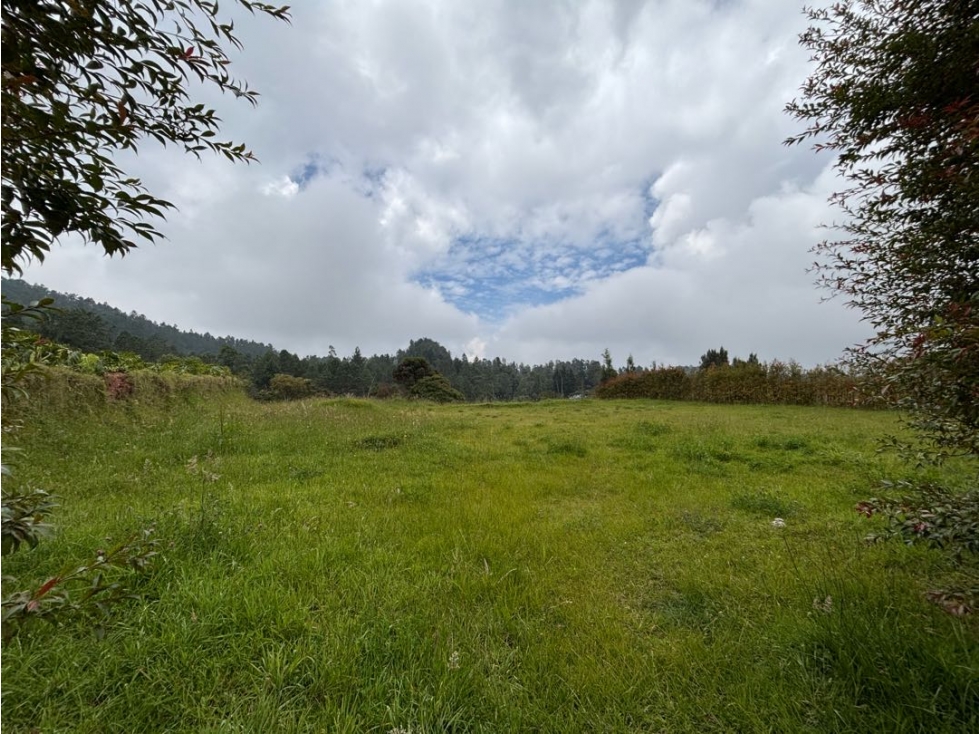 Venta de Lote Alto de Palmas en Unidad Cerrada Sector Mercajuste — foto 3