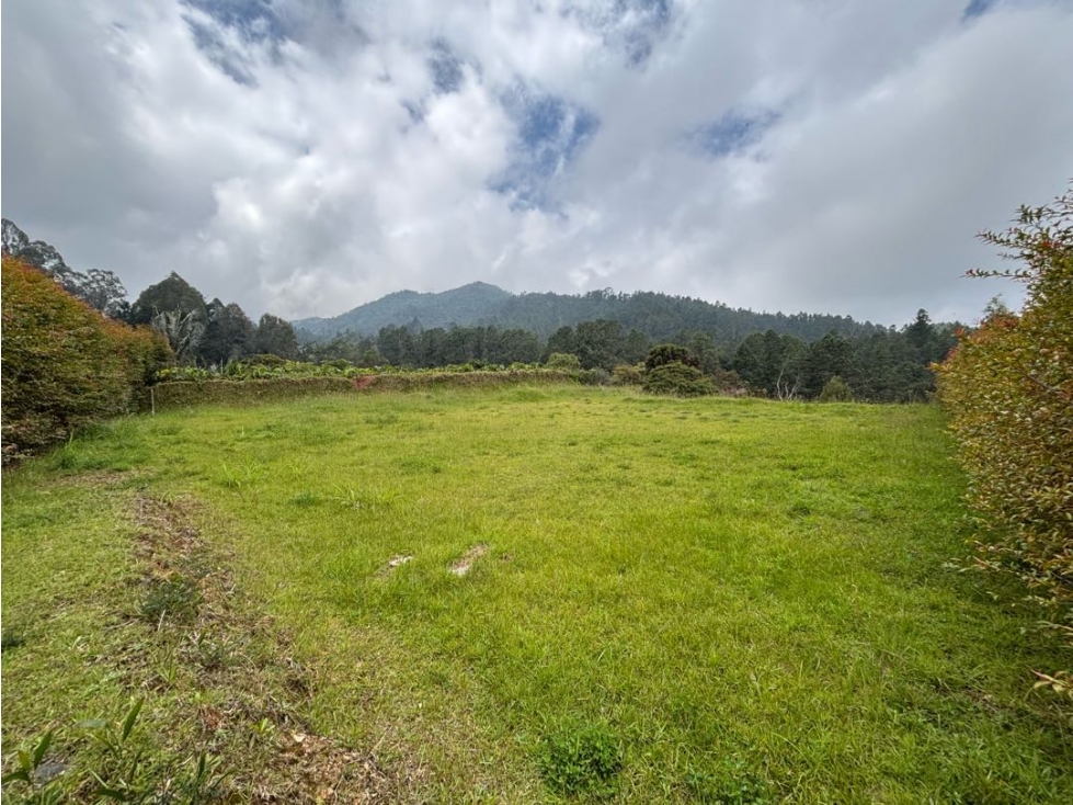 Venta de Lote Alto de Palmas en Unidad Cerrada Sector Mercajuste — foto 4