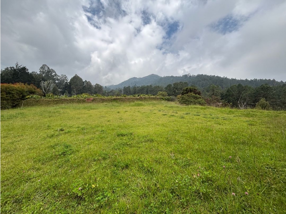 Venta de Lote Alto de Palmas en Unidad Cerrada Sector Mercajuste — foto 5