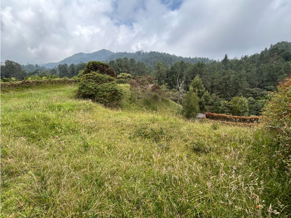 Venta de Lote Alto de Palmas en Unidad Cerrada Sector Mercajuste — foto 6