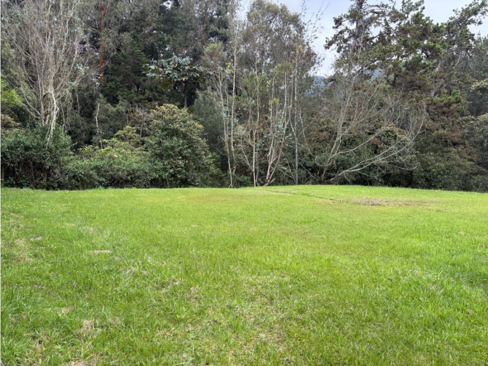 Venta de Lote Alto de Palmas en Parcelación Sector Mercajuste — foto 4