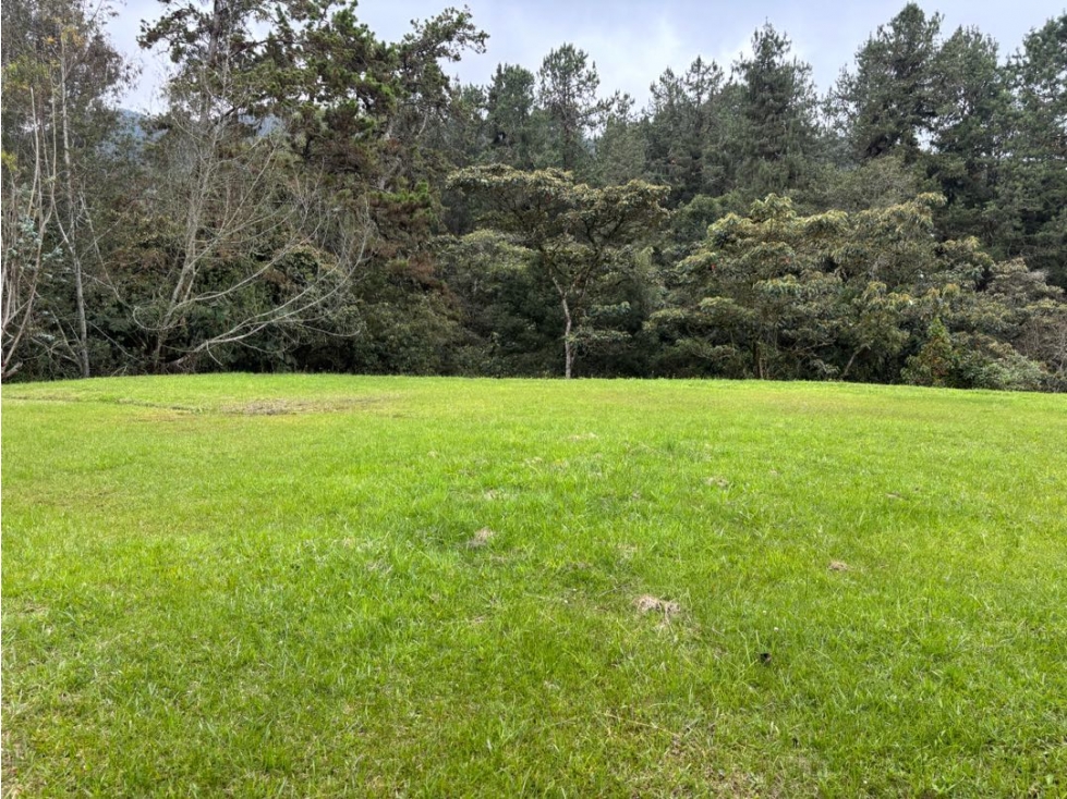 Venta de Lote Alto de Palmas en Parcelación Sector Mercajuste — foto 5
