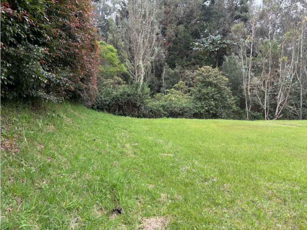 Venta de Lote Alto de Palmas en Parcelación Sector Mercajuste — foto 6