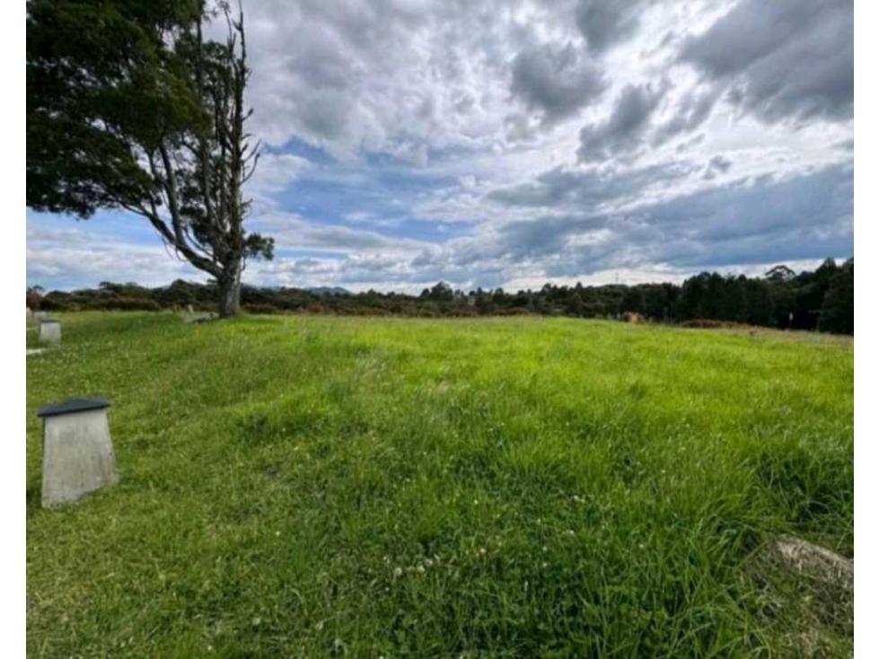 Venta De Lote Alto De Palmas Envigado