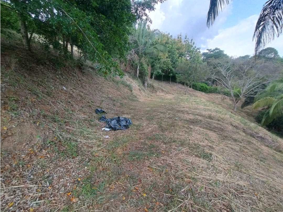 Venta de Lote de Casi Una Hectárea en Condominio en La Mesa Cundi - 4