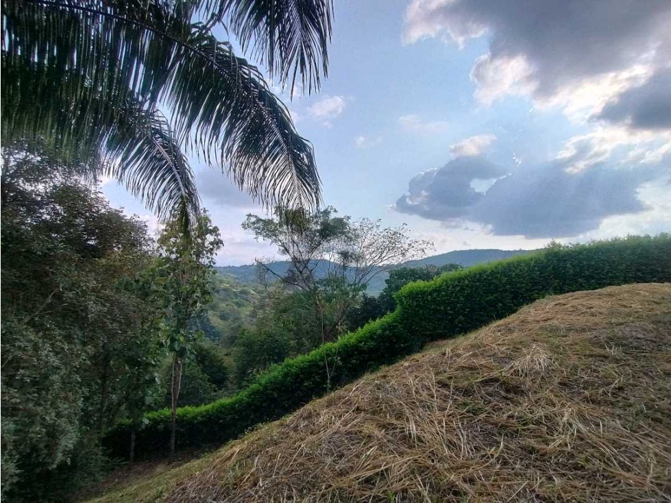 Venta de Lote de Casi Una Hectárea en Condominio en La Mesa Cundi - 6