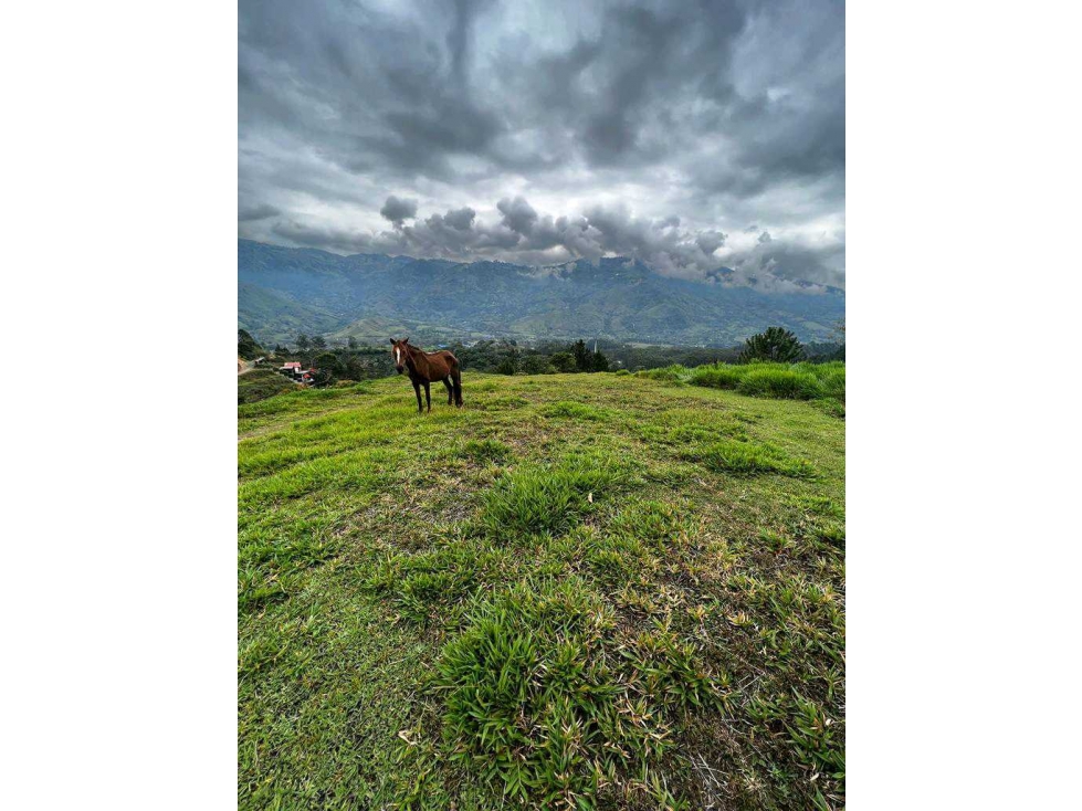 Venta Lote Barbosa Antioquia — foto 4