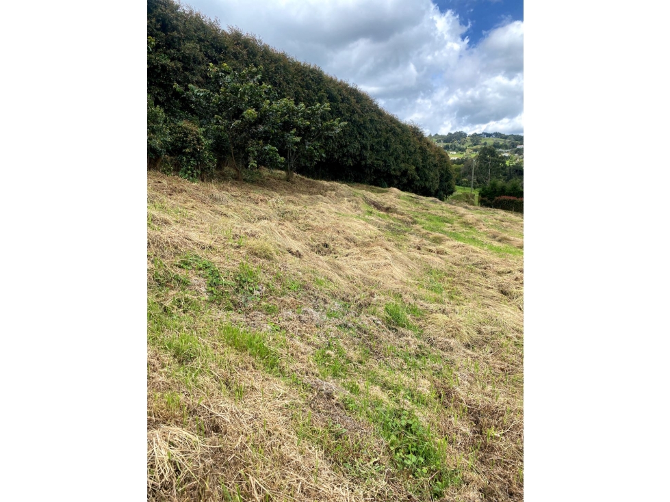 Venta de lote campestre alto de las palmas unidad cerrada sector acuar — foto 2