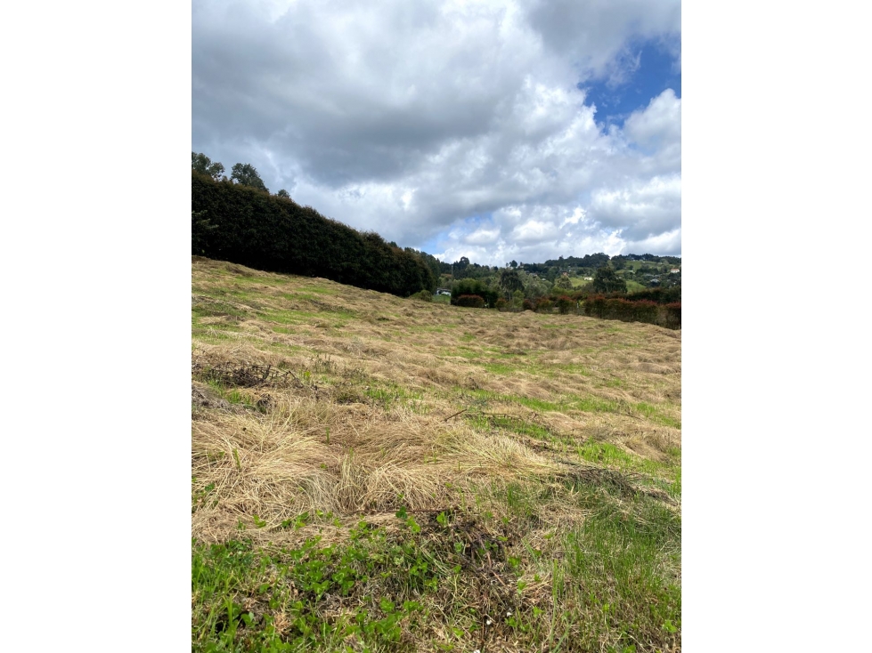 Venta de lote campestre alto de las palmas unidad cerrada sector acuar — foto 6