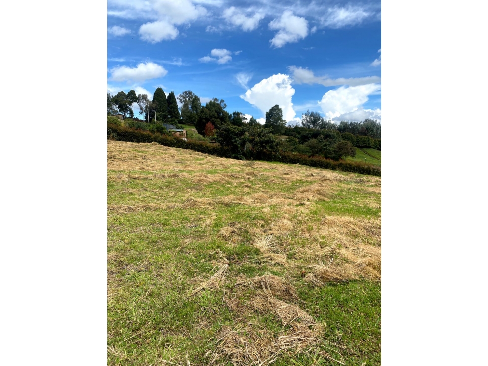 Venta de lote campestre alto de las palmas unidad cerrada la acuarela — foto 2