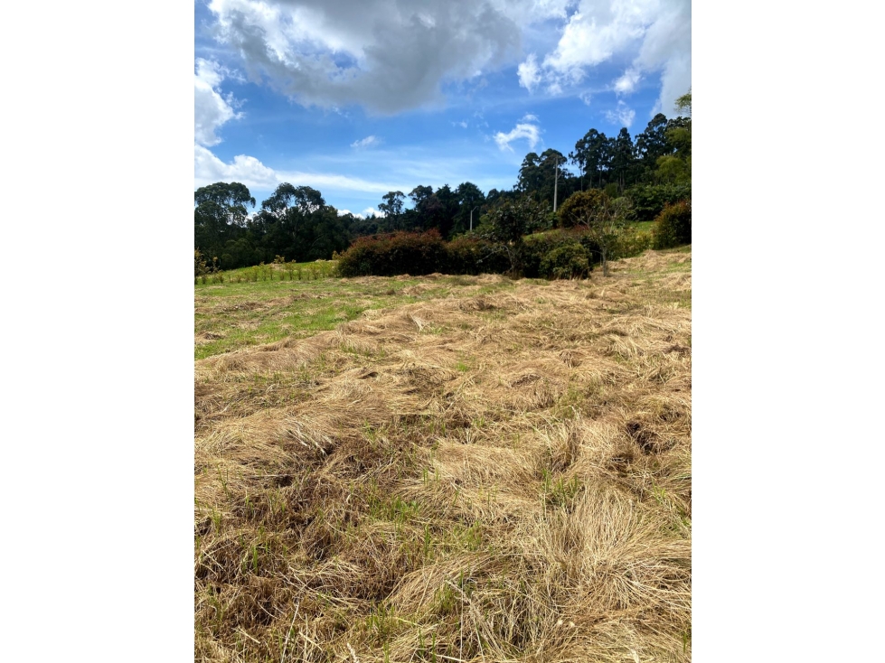 Venta de lote campestre alto de las palmas unidad cerrada la acuarela — foto 3
