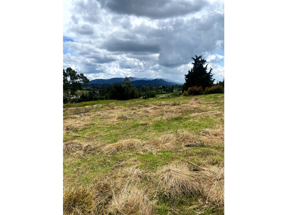 Venta de lote campestre alto de las palmas unidad cerrada la acuarela — foto 5