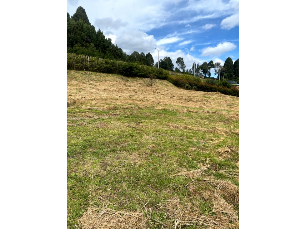 Venta de lote campestre alto de las palmas unidad cerrada la acuarela — foto 6