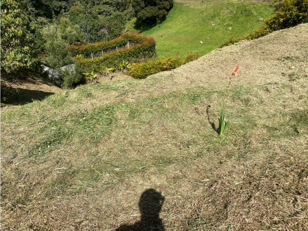 Venta de lote campestre alto de las palmas unidad cerrada — foto 2