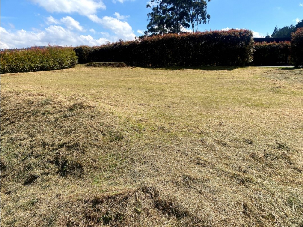 Venta de lote campestre alto de las palmas unidad cerrada — foto 3
