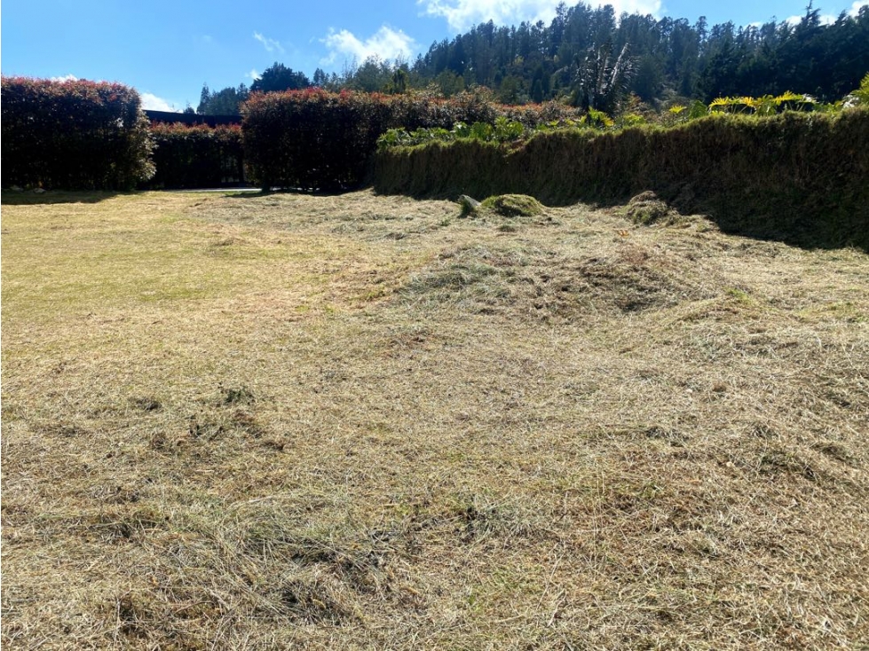 Venta de lote campestre alto de las palmas unidad cerrada — foto 4