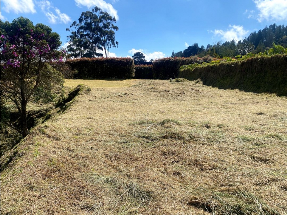 Venta de lote campestre alto de las palmas unidad cerrada — foto 6