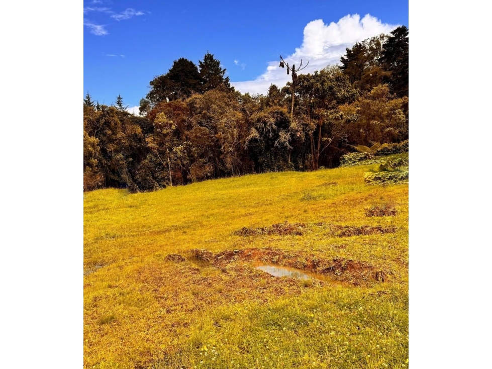 Venta de lote campestre alto de las palmas unidad cerrada — foto 2
