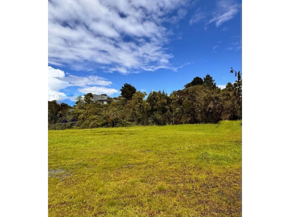 Venta de lote campestre alto de las palmas unidad cerrada — foto 3