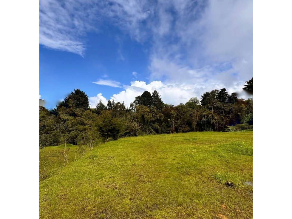 Venta de lote campestre alto de las palmas unidad cerrada — foto 6