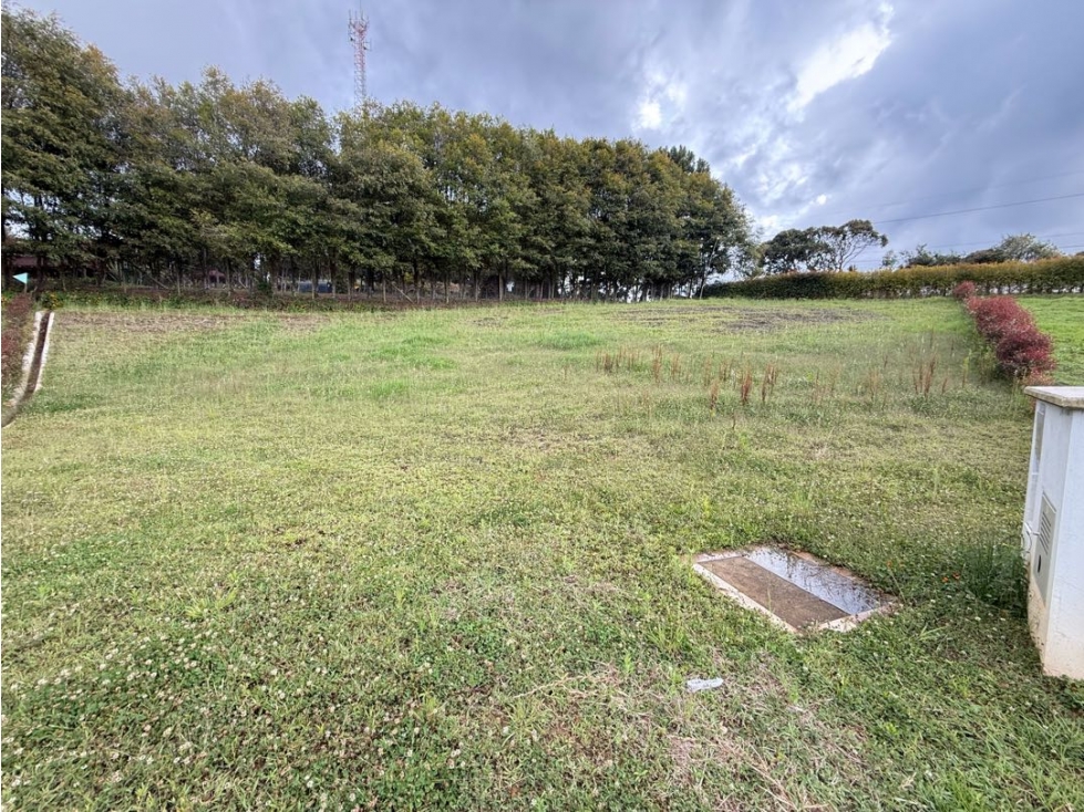 Venta de lote campestre alto de las palmas unidad cerrada charco azul