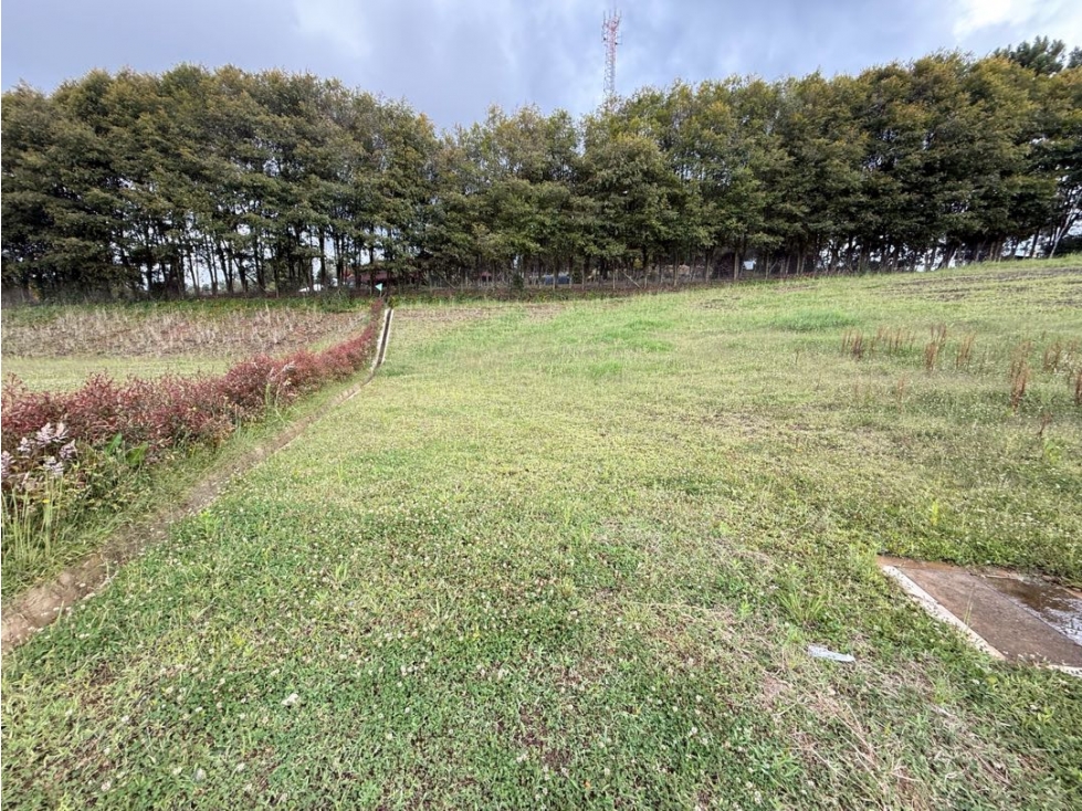 Venta de lote campestre alto de las palmas unidad cerrada charco azul — foto 2