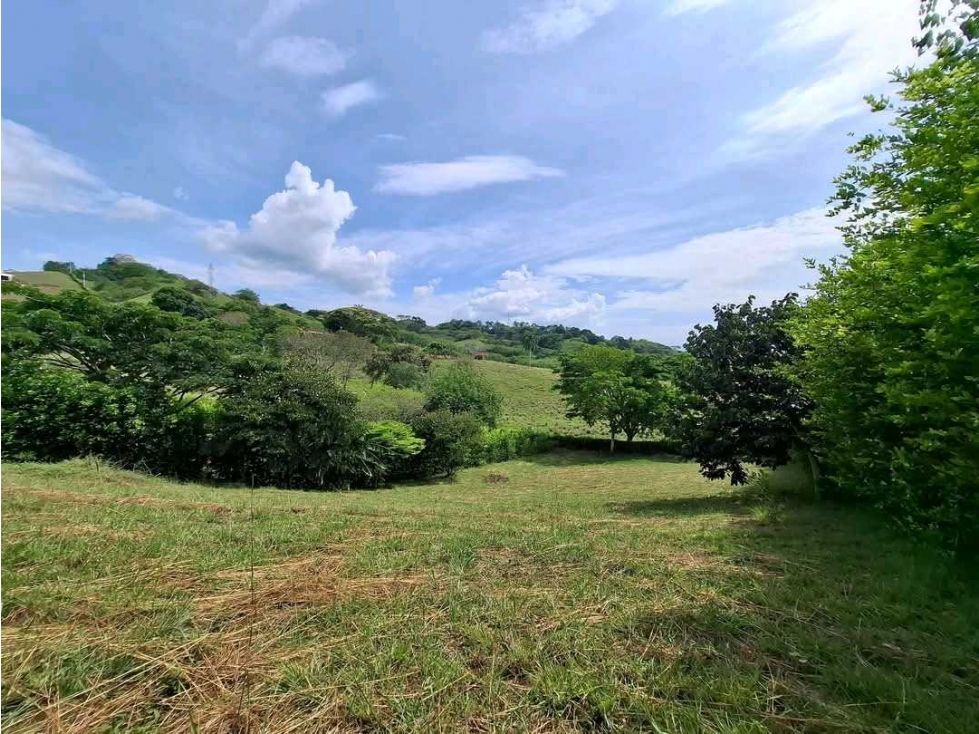 VENTA DE LOTE CAMPESTRE COLINAS DEL CAMPESTRE CARTAGO VALLE - 2